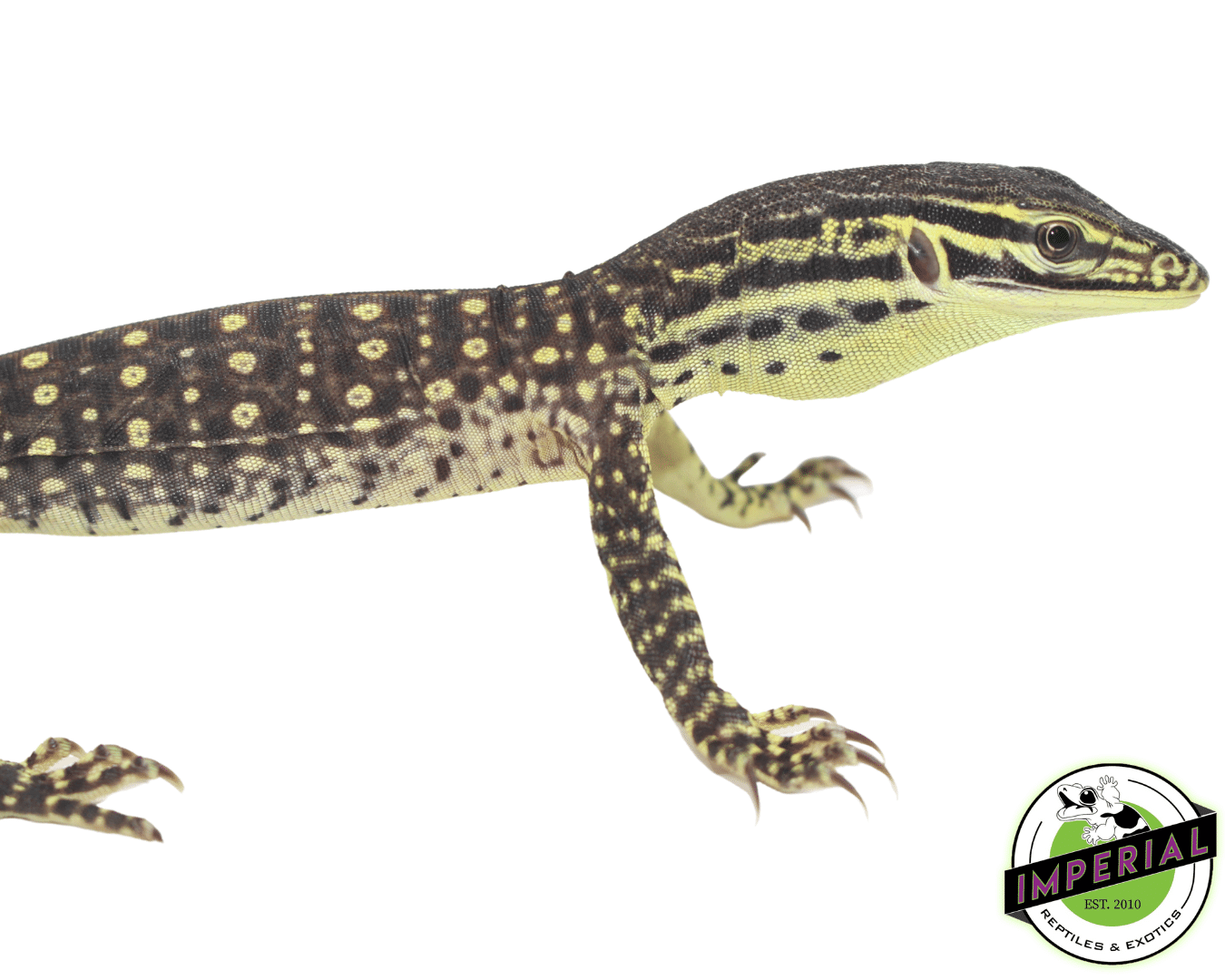 Argus Monitor Baby — image 2