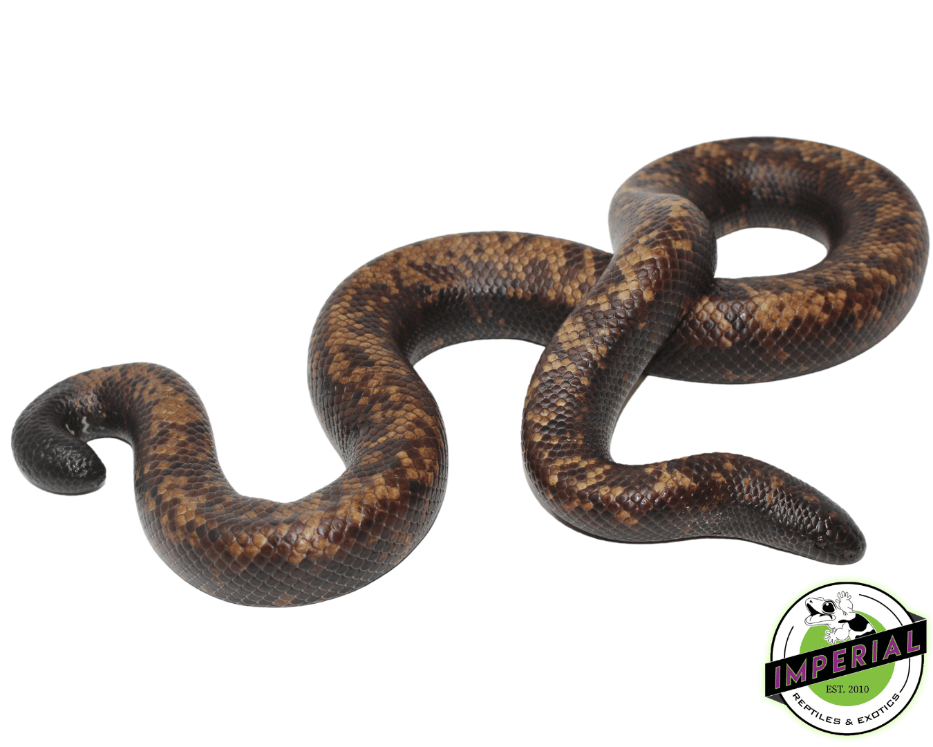 Calabar Python