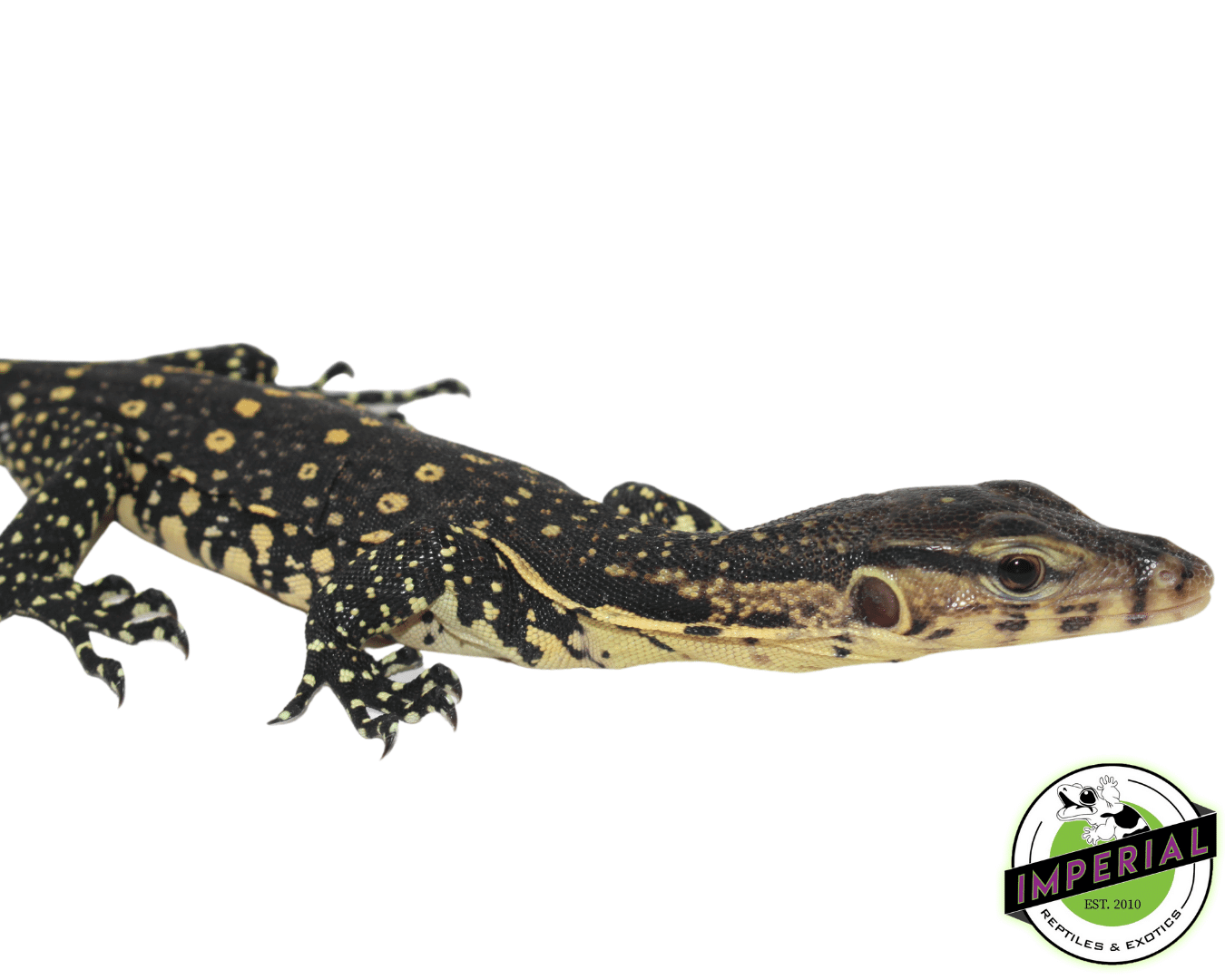 CB Water Monitor — image 2
