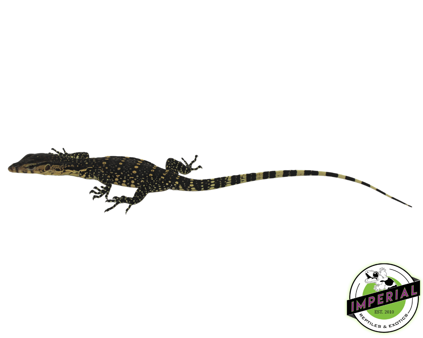 CB Water Monitor — image 3