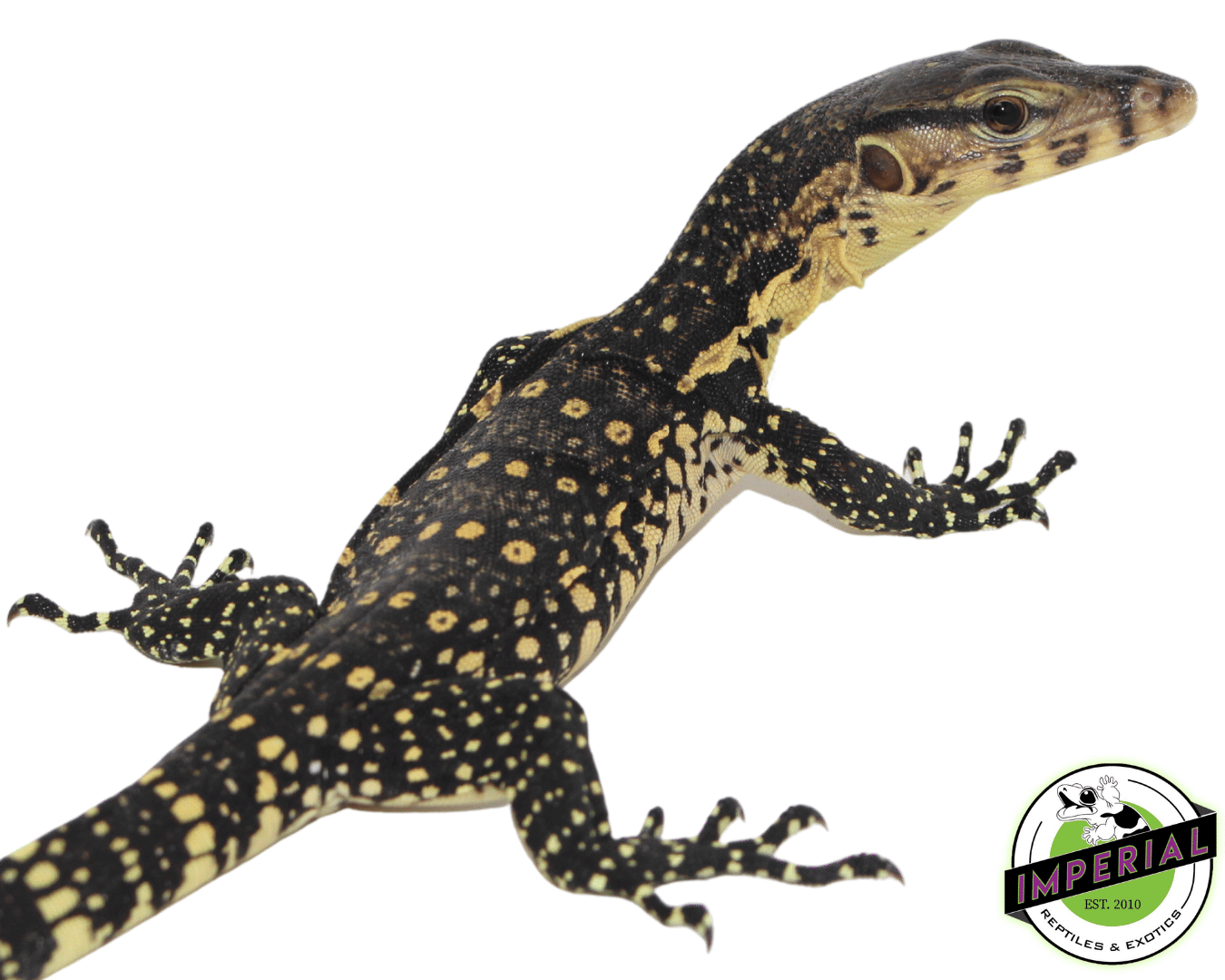 CB Water Monitor