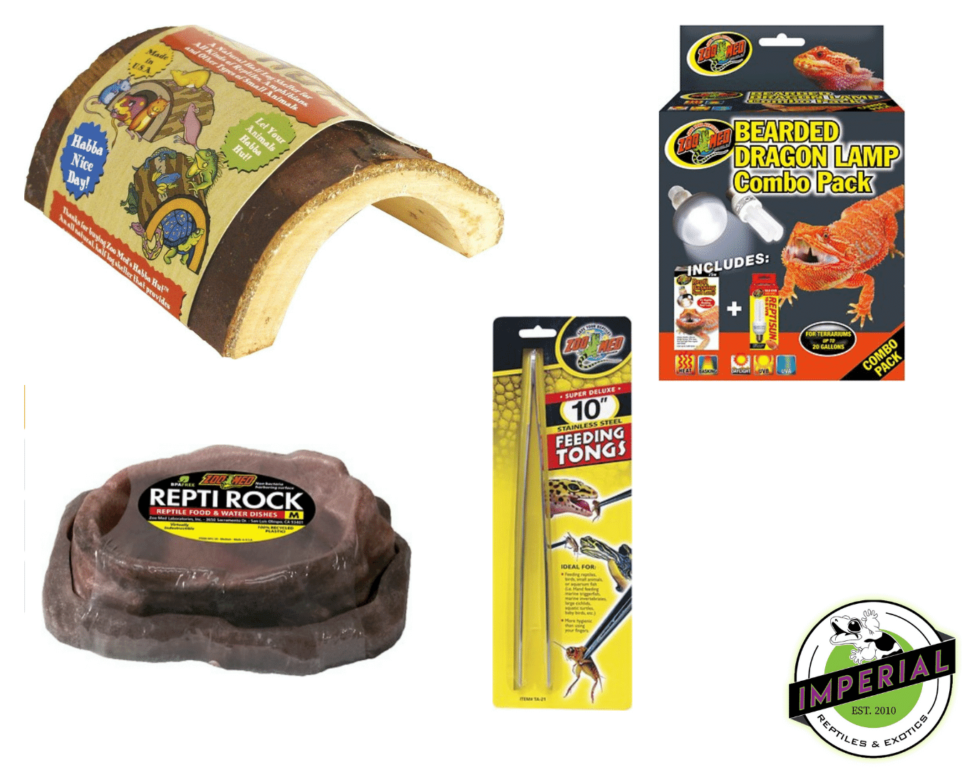 Lizard Habitat Kit