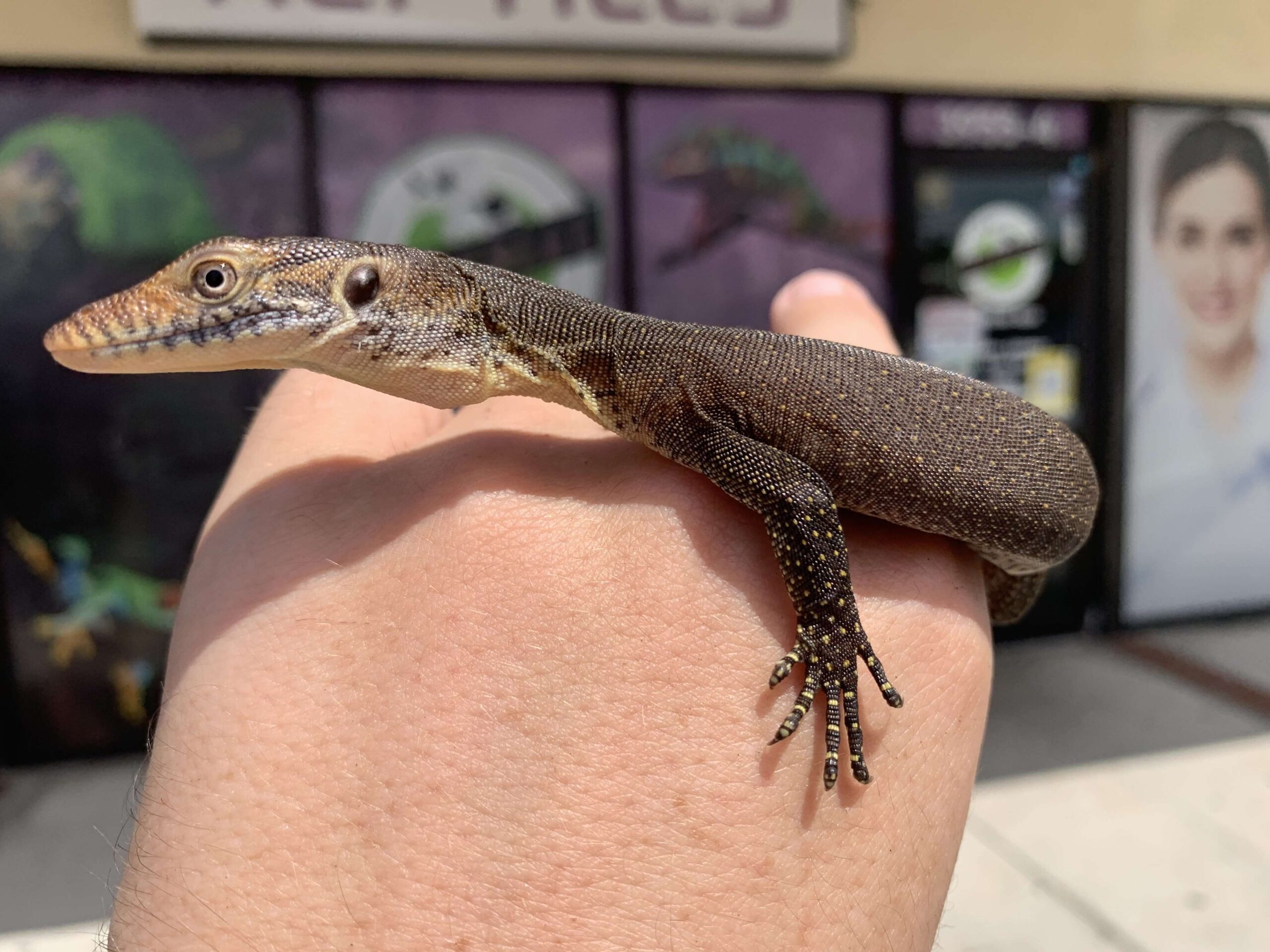Mertens Water Monitor — image 2