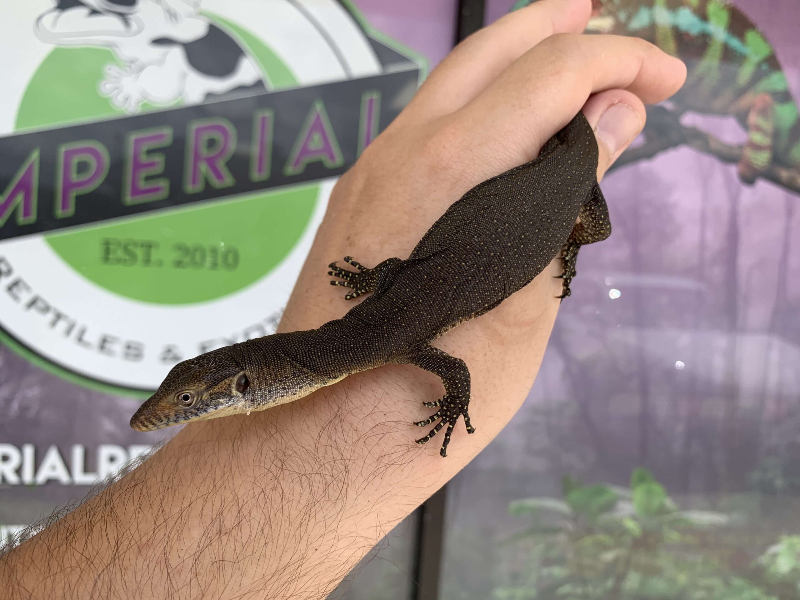 Mertens Water Monitor — image 3