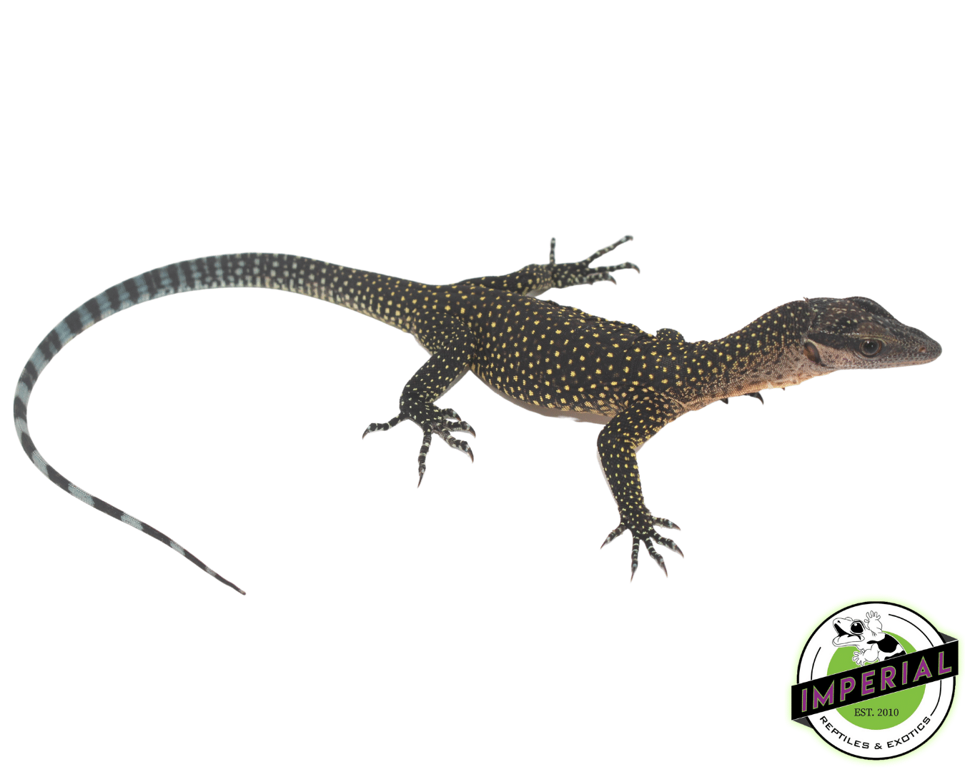 Peach Throat Monitor Baby