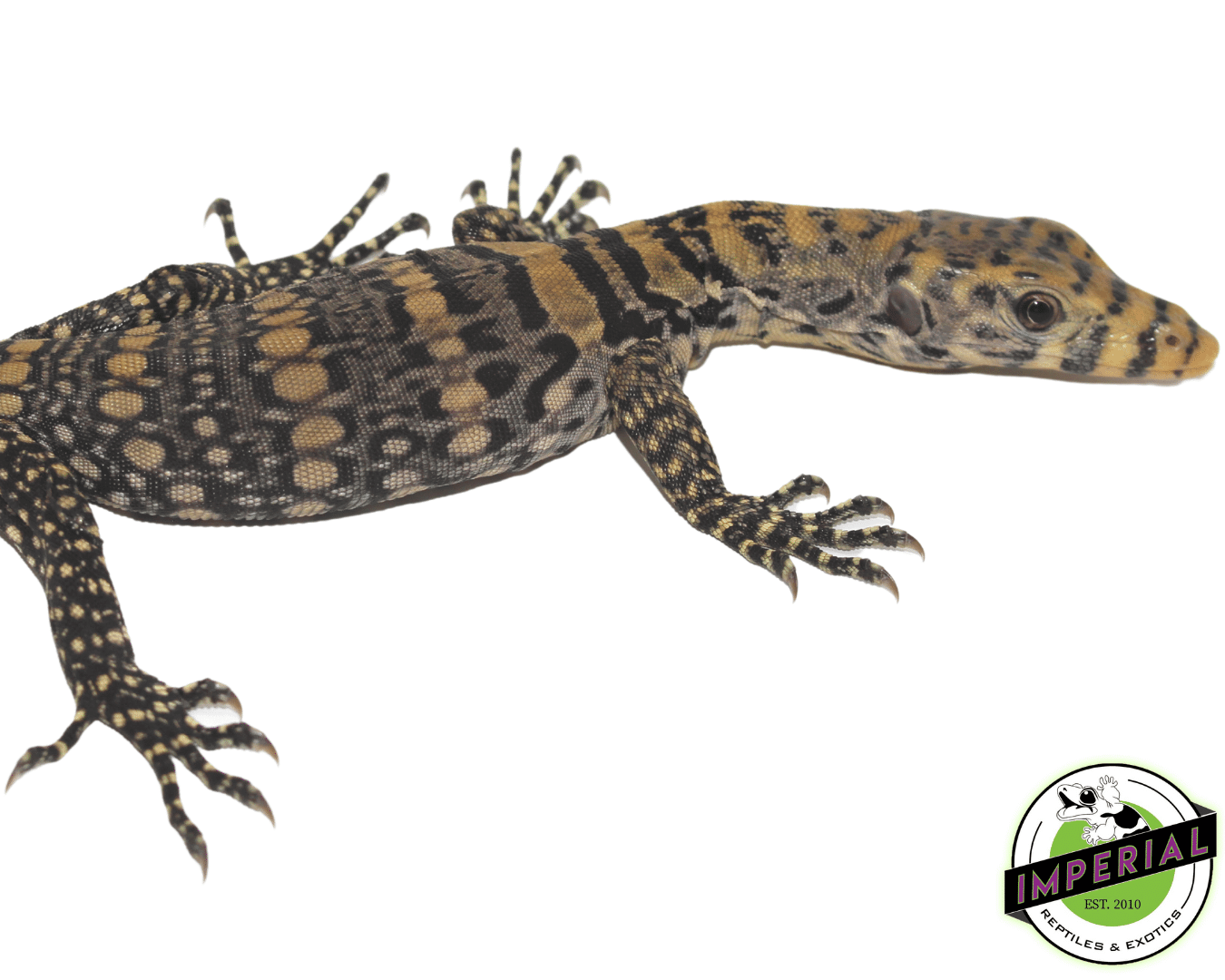 Sulfur Water Monitor — image 2