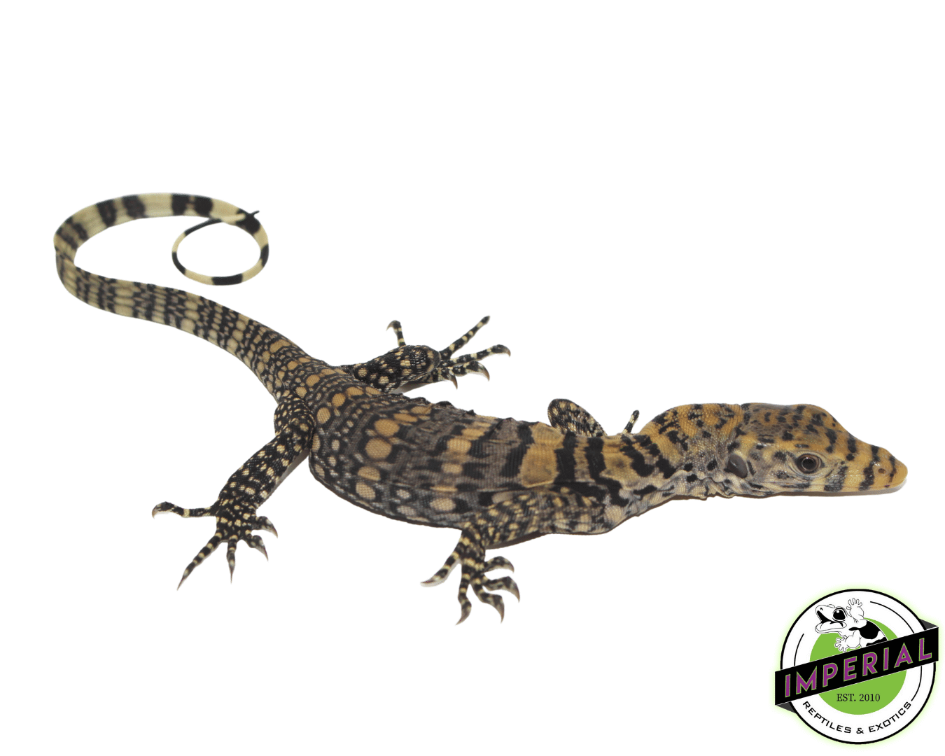 Sulfur Water Monitor